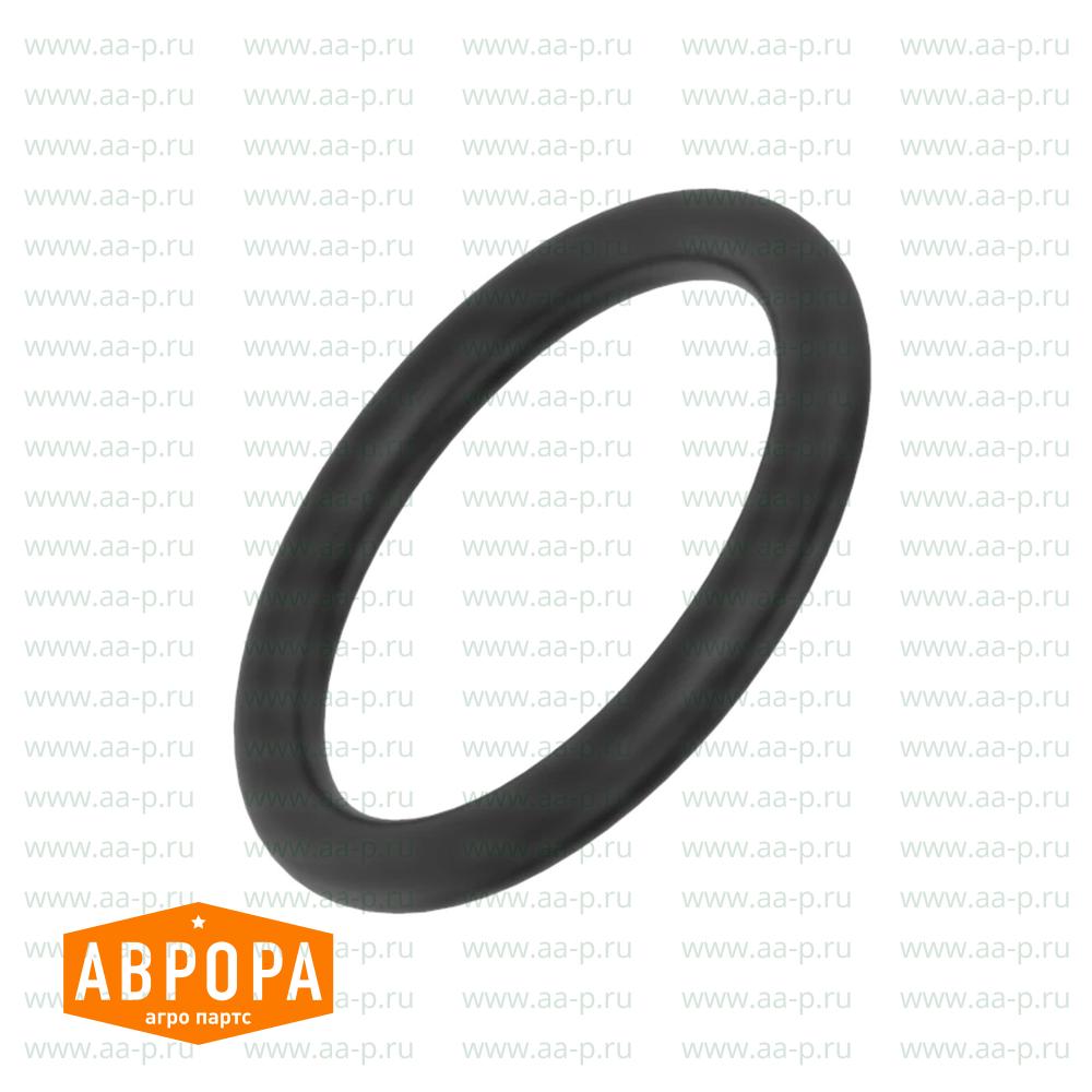 R76617 УПЛОТНИТЕЛЬНОЕ КОЛЬЦО